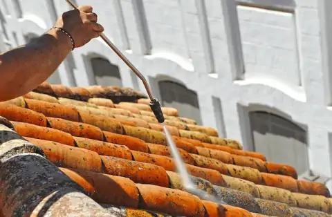 Démoussage de toiture à Arveyres